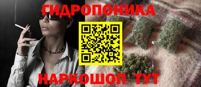 герыч Можга