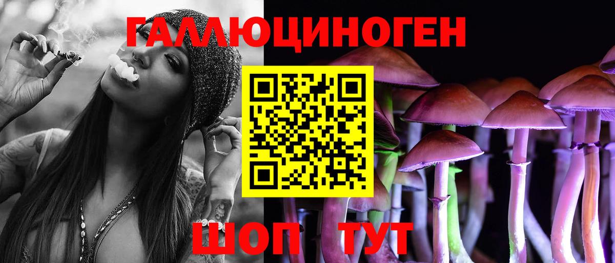 купить наркоту  Галлюциногенные грибы Psilocybe  Вход с VPN  Вышний Волочёк 