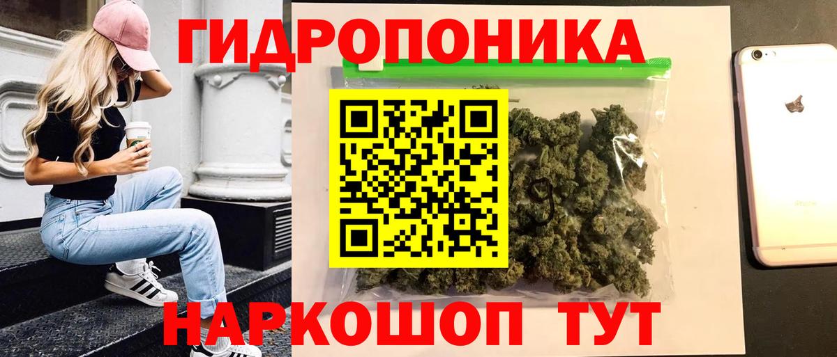 Вышний Волочёк  Канабис индика  Канабис ГИДРОПОН  Канабис White Widow  Вход с VPN 